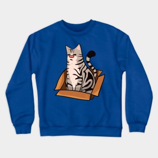 American Shorthair Cat in a Box Crewneck Sweatshirt